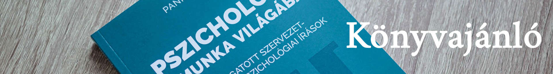 Könyvajánló, Dr. Pankász Balázs, Pszichológia a munka világában